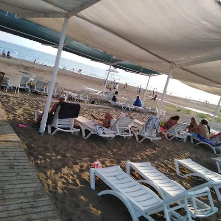 Yali Turizm Orsem * シダ