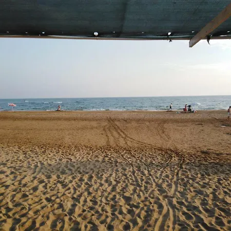 Yali Turizm Orsem * シダ